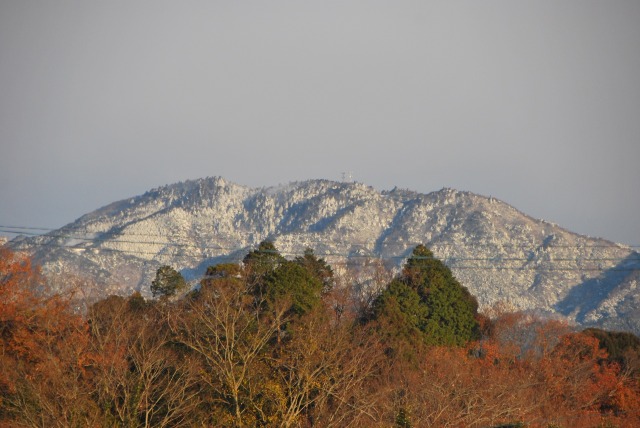 野登山