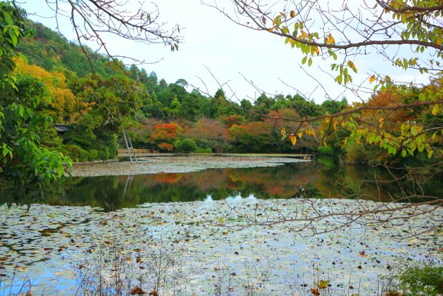 龍安寺