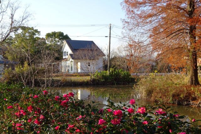 夕暮れのクリーク公園