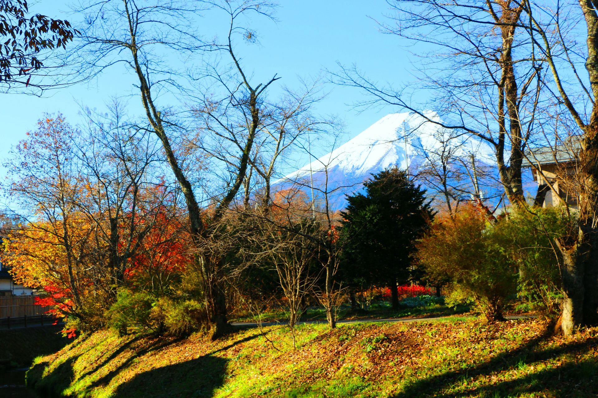 日本の風景 忍野八海初冬 壁紙19x1280 壁紙館
