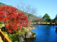 東紀州12月の紅葉