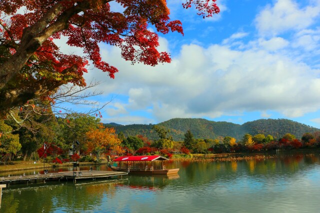 大覚寺