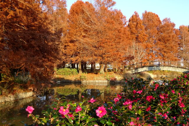 夕暮れのクリーク公園