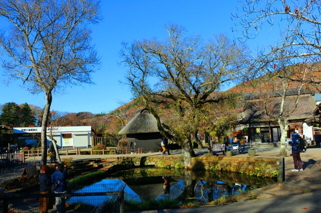 忍野八海初冬