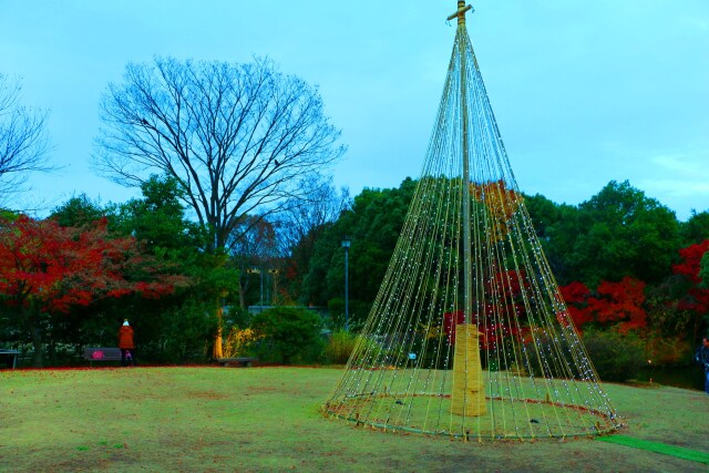 白川庭園