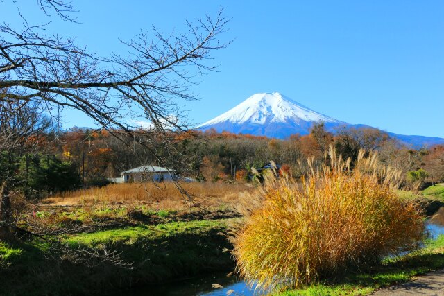 忍野八海初冬