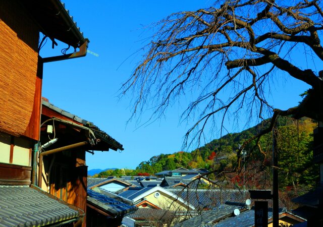 京都初冬