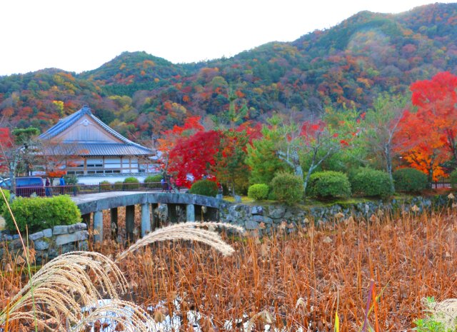 天龍寺