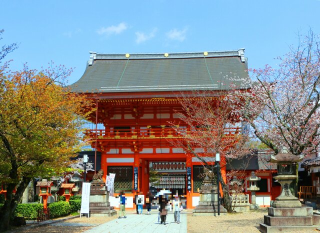 迎春八坂神社