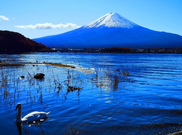 迎春富士山