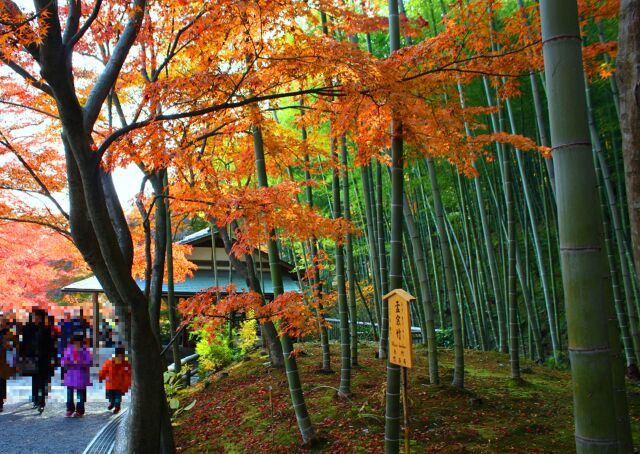 天龍寺