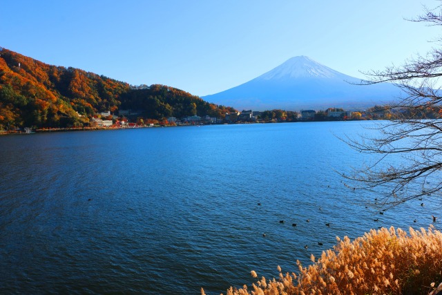 河口湖初冬