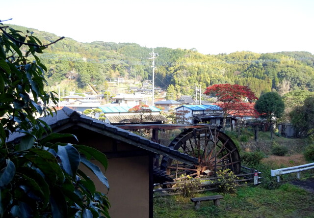 山里 静かな新年の朝