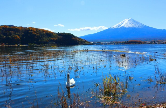 河口湖