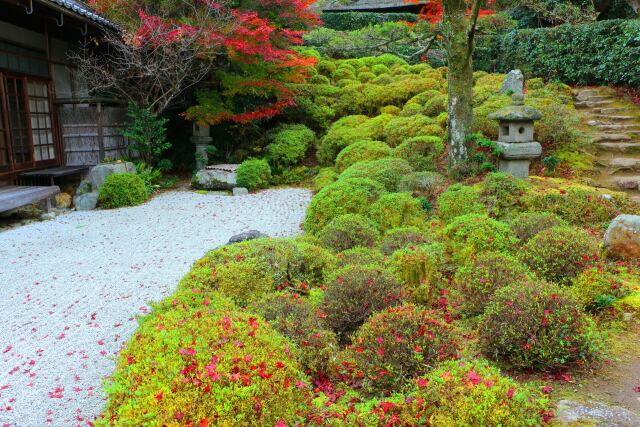 京都庭園