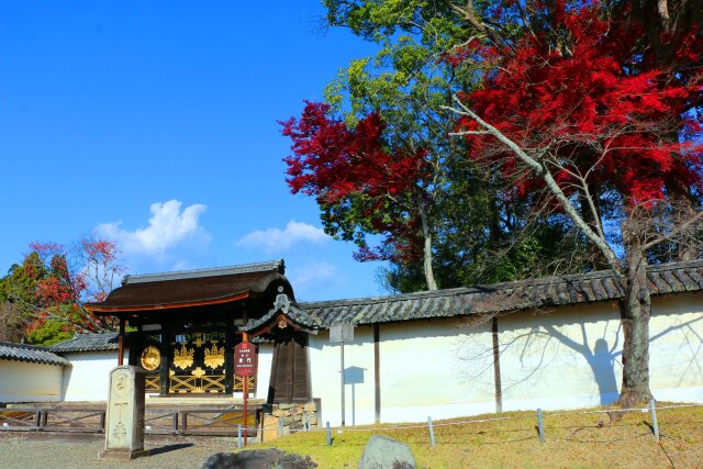 醍醐寺