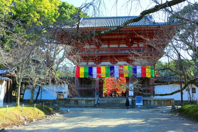 醍醐寺