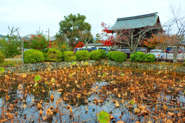 天龍寺