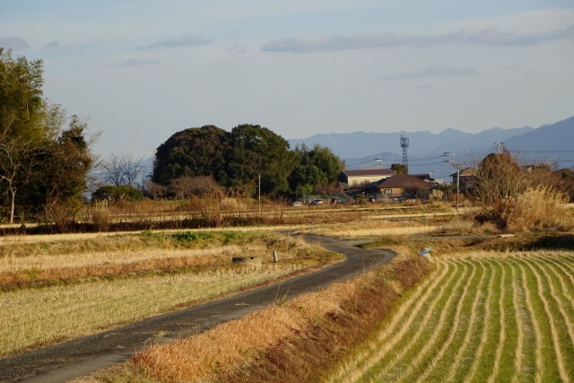 冬枯れの里