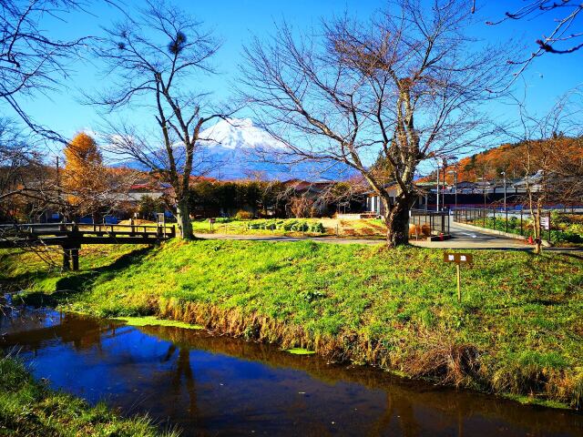 忍野八海