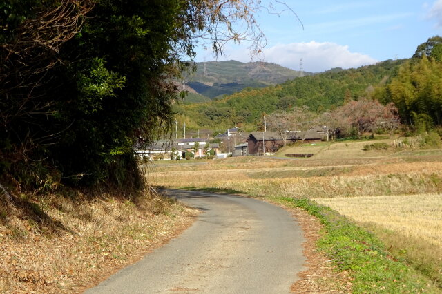 ふる里へ行く道