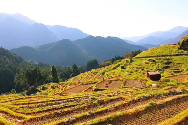 棚田と紀伊山地