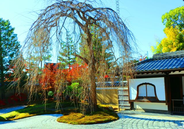 高台寺