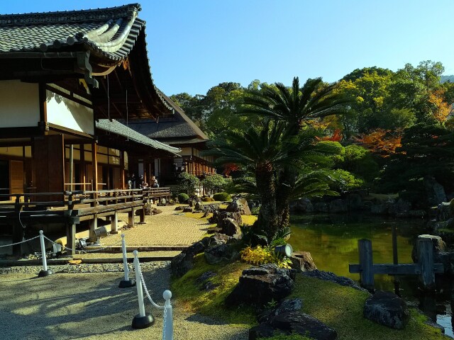 醍醐寺