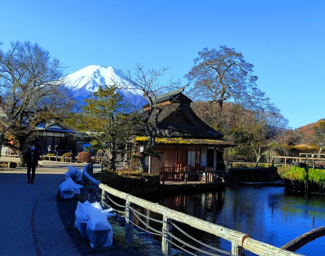 忍野八海