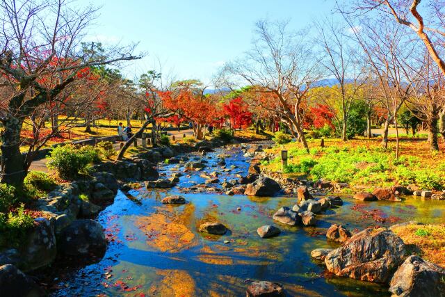 円山公園