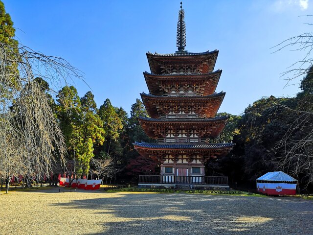 醍醐寺