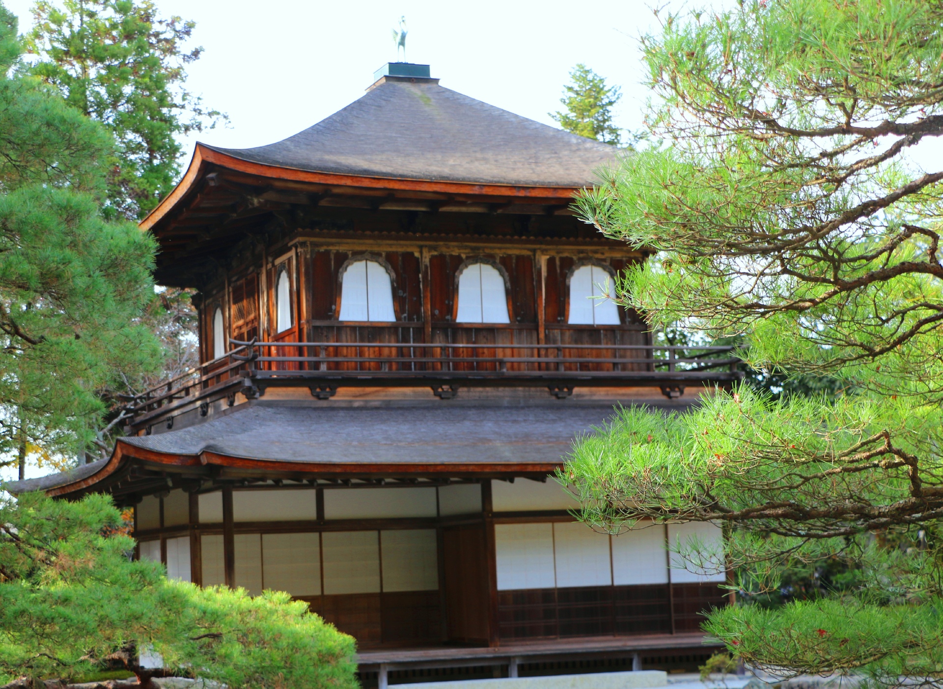 日本の風景 銀閣寺 壁紙19x1403 壁紙館