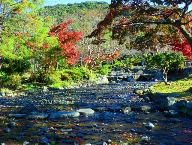 円山公園