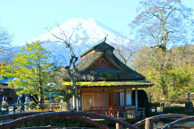 忍野八海