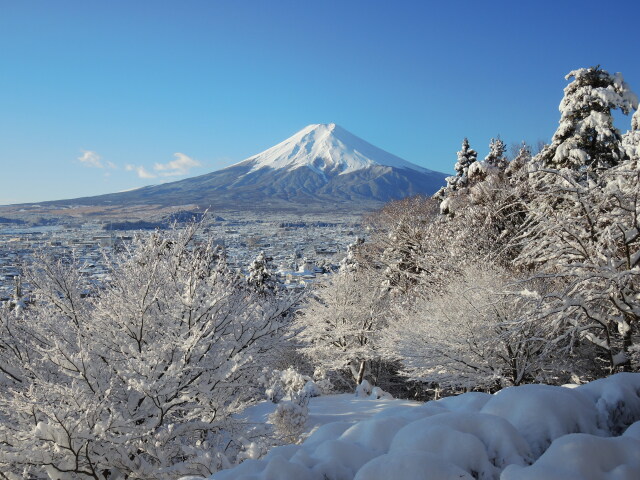 雪の富士山