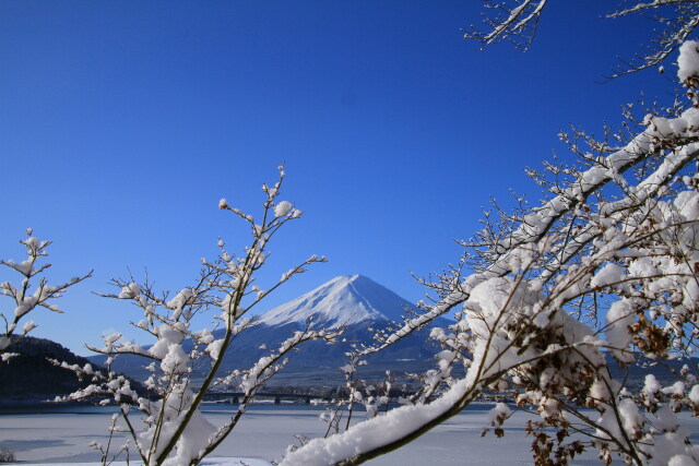 素敵な雪景色