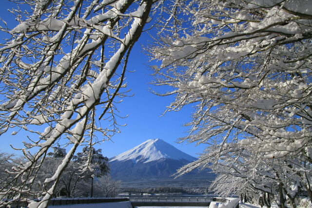 富士山に雪の華