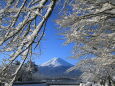 富士山に雪の華