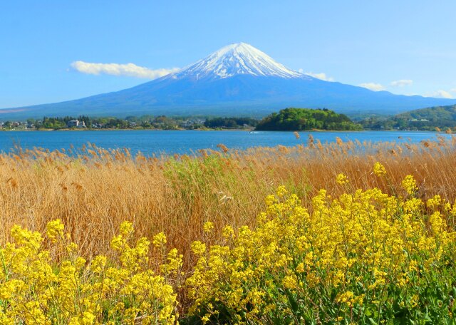 河口湖