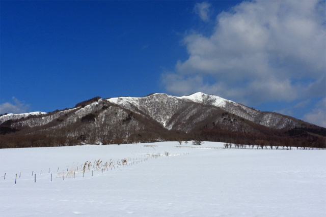 高原の冬 12 雪