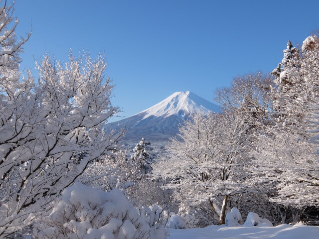 雪の華