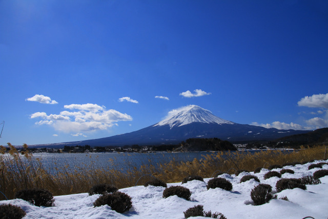 公園からの富士山