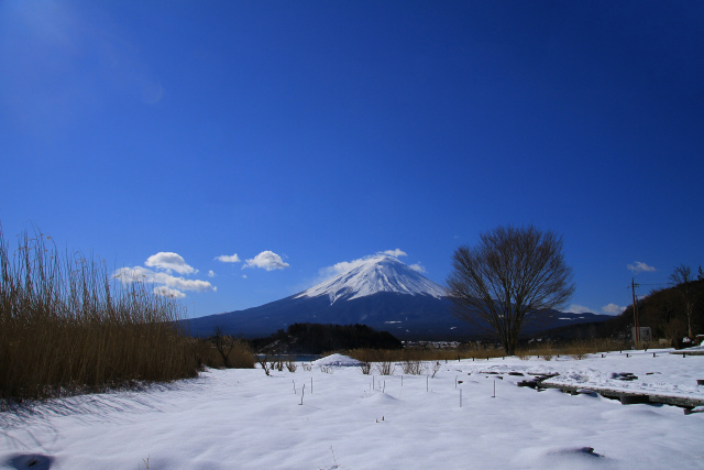 雪の富士山