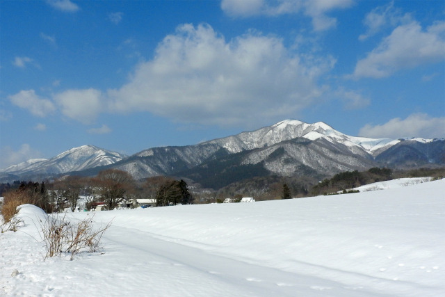 高原の冬 13 雪