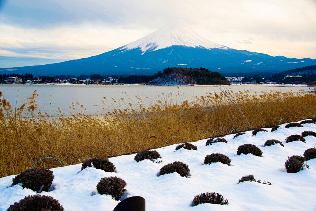 富士山とススキと雪景色