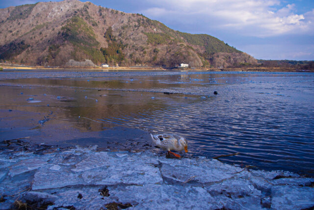 厳冬の精進湖にて