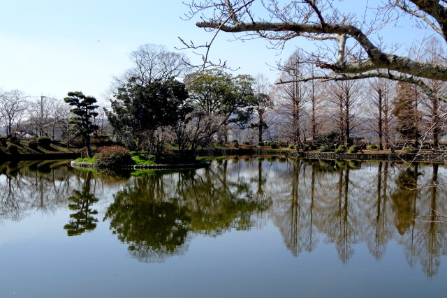 2月下旬の公園風景