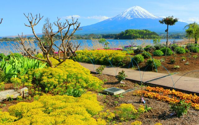 富士山春