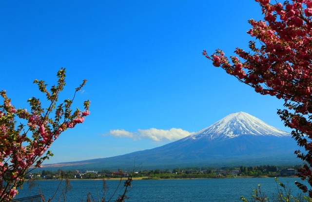 富士山春