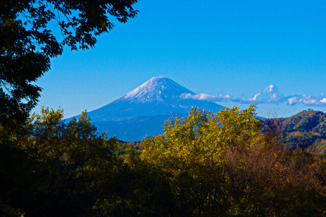 修善寺から見た富士山